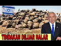 Israel biarkan Ratusan Kerbau Kelaparan di Tanah yang Sekarat!! Tetapi Apa yang Terjadi Keajaiban!!