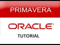Primavera P6 Tutorial for Beginners What is Primavera P6 Used For Core features of Primavera P6