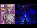 Home Depot 12 Foot Skeleton Lighting kit - unboxing setup review