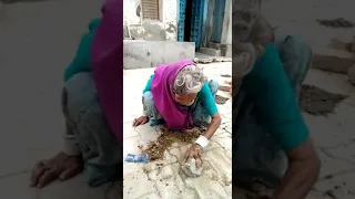 Ghachi  Ghachi