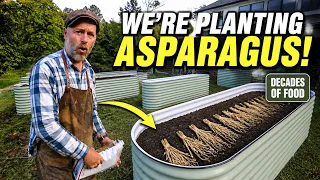 This Is The Last Time We Plant Asparagus