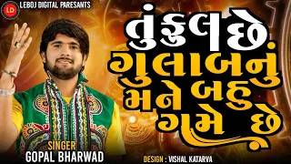  gopal bharwad new song tu full che gulab mane bau game che