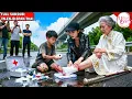 Download Lagu Bà Lão Bị Ngã Không Ai Thèm Giúp Được Cô Gái Nghèo Cứu, Ai Ngờ Là Nữ Tỷ Phú Thử Lòng Con Dâu