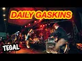 Download Lagu DAILY GASKINS - TEGAL