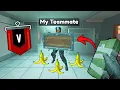 Trolling Hardstuck Copper Lobbies As A Champion
