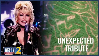 They picked Dolly for their corn maze months ago Then everything changed