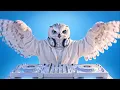 Jazzy – Get This Started | Deep House Remix 2026 | VibeOn