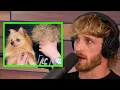 Logan Paul Reflects On Kong s Tragic Death By Coyote