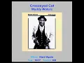 MUDDY WATERS    "Crosseyed Cat"    1977