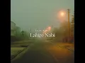 Download Lagu Lahire Nabi