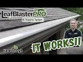Leafblaster Pro 4 Years Later Results