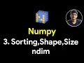 Sort Array Concatenate ndim Shape Size axis 0 axis 1 Numpy Tutorial