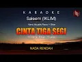 Download Lagu KARAOKE LIRIK OFFICIAL || CINTA TIGA SEGI (Cinta segitiga) SALEEM (IKLIM) || NADA RENDAH