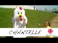 Splash'N Boots  - "Chantelle The Chicken" Music Video