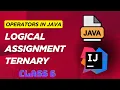 Java Operators Explained Logical Assignment Ternary Operators with Examples-Beginner Friendly