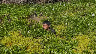 Saking Alaminya Tempat Ini Ikan Sampai Jadi Alas Kaki   