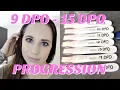 PREGNANCY TEST LINE PROGRESSION 9 DPO - 15 DPO
