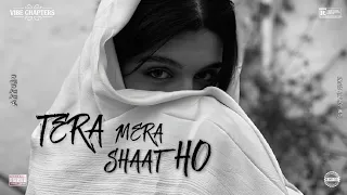 tera mera shaat ho ek kitaab official visualizer vibe chapters 