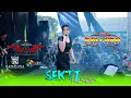 Download Lagu SEKTI - Amy Anjaya - NEW PALLAPA - RAMAYANA Profesional Audio - LOWO IRENG 2025