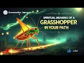 Spiritual Meaning of a Grasshopper in Your Path A Sign of Luck New Beginnings