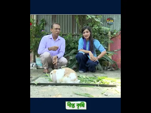Deepto Krishi | খরগোশকে সুস্থ রাখতে একটু খোলা জায়গায় দৌড়াদৌড়ি করতে দেওয়া কতটা জরুরি?