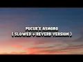 Lagu Pucuk'e Asmoro - NDX AKA ( Slowed + Reverb Version )