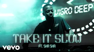 vigro deep take it slow visualizer ft sha sha