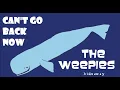 The Weepies - Hideaway (Full Album Stream)