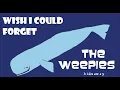 Download Lagu The Weepies - Hideaway (Full Album Stream)