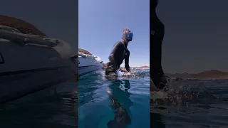 Art Inspired by a decade on the seas 🌎⛵️#boatlife