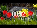 32 Second Timer with Music Spring Timer