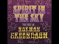 Spirit in the Sky - Norman Greenbaum