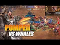 Lagu BEAR vs WHALES ?? MENANG TELAK LAWAN WHALES KAYAK GINI !!