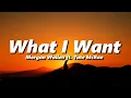 Download Lagu Morgan Wallen - What I Want (feat. Tate McRae) (slowed + reverb)