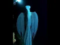 Download Lagu Depth of the ocean creatures |Ocean Odyssey |