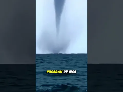 Ikan Jatuh dari Langit, Kok Bisa? #shorts #shortvideo #sains