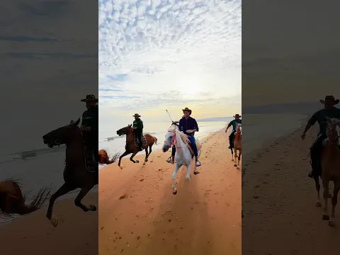 كيفاش تجوز نهار شباب في الجزائر 🇩🇿