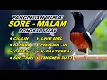 Download Lagu 🔴 LIVE 62 - Pancingan Murai Batu Pagi Hari Full Isian Tembakan Panjang Murai Macet Pasti Nyaut