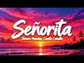 🎵 Shawn Mendes, Camila Cabello - Señorita (Lyrics) letra