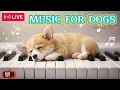 Download Lagu 🎵 Slaapmuziek met honden die werkt |Dierenartsen keuren dit geluid goed 🐾💗