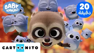اللعب مع حيوانات الغابة! 🦝🦉 | بيبي ليمينغز | Baby Lemmings | كارتونيتو @CartoonitoMENA
