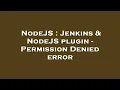 NodeJS Jenkins NodeJS plugin - Permission Denied error