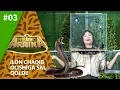 Download Lagu Hello Afrika 3-son Ilon chaqib olishiga sal qoldi!  (01.03.2020)