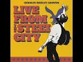 Miner Imperfections (Live From The Steel City)