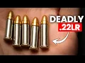 Download Lagu De beste .22 LR-patronen die u in 2025 kunt kopen voor thuisverdediging