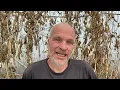 Using Urine as Fertiliser