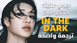أغنية تعاون ستراي كيدز و ديجي سنيك الجديدة DJ Sneak Stray Kids In The Dark Lyrics مترجمة 