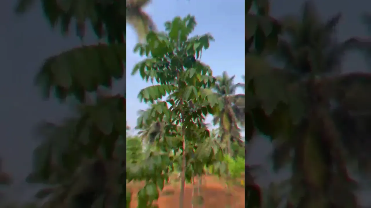 Govindapuram Land For Sale