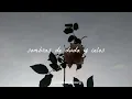 Cielo rojo / Miguel Aceves Mejía / Letra