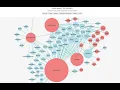How to make an HTML labeled property graph visualization using Web3 entities and The Conflux Network
